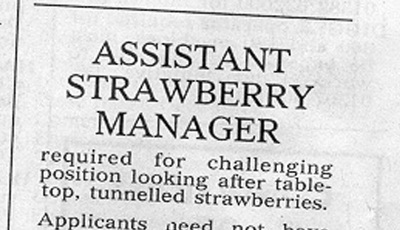 a picture of a job advert in a newspaper: Assistant Strawberry Manager